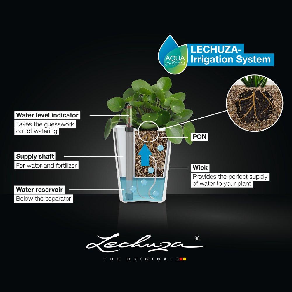 Lechuza デルティーヌ プランター 14cm ホワイト　2セット LECHUZA DELTINI